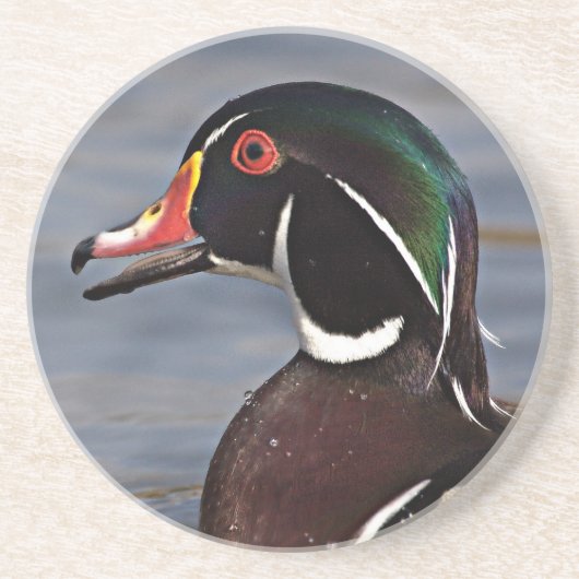 Profil einer Holzente Getränkeuntersetzer (Vorne)