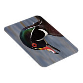 Profil einer Holzente Magnet (Rechte Seite)