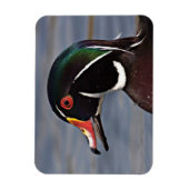 Profil einer Holzente Magnet (Vertikal)