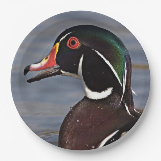 Profil einer Holzente Pappteller (Vorderseite)