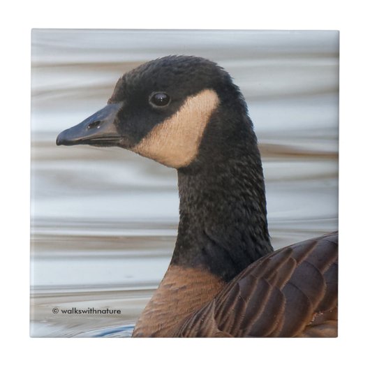 Profil einer Klingelgans Fliese (Vorderseite)