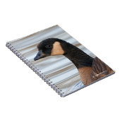 Profil einer Klingelgans Notizblock (Rechte Seite)