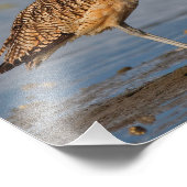 Profil einer langgedrehten Kurve Fotodruck (Ecke)