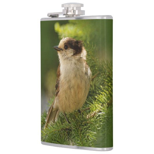 Profil einer Niedlichen grauen Jay / Whiskeyjack Flachmann (Links)