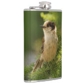 Profil einer Niedlichen grauen Jay / Whiskeyjack Flachmann (Rechts)