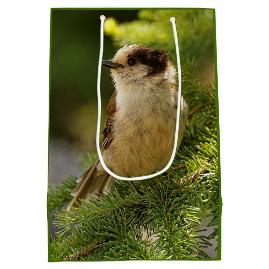 Profil einer Niedlichen grauen Jay / Whiskeyjack Mittlere Geschenktüte (Rückseite)