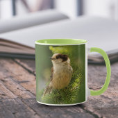 Profil einer Niedlichen grauen Jay / Whiskeyjack Tasse