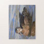 Profil einer schönen Holzente auf dem Wasser Puzzle (Vertikal)