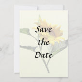 Profil einer Sonnenblume Save the Date (Rückseite)