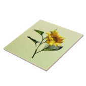 Profil einer Sonnenblumenzange Fliese (Seite)