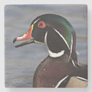 Profil einer Waldschnatter Steinuntersetzer