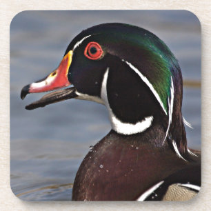 Profil einer Waldschnatter Untersetzer