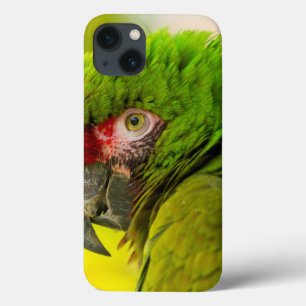 Profil eines Aras im Santa Barbara Zoo iPhone 13 Hülle