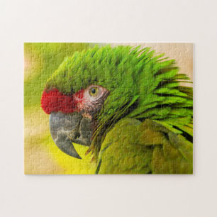 Profil eines Aras im Santa Barbara Zoo Puzzle