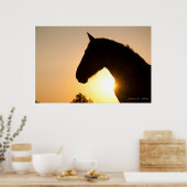 Profil eines belgischen Pferdesatzes Poster (Küche)