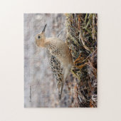Profil eines Buff-Breasted Sandpipers am Strand Puzzle (Vertikal)