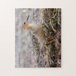 Profil eines Buff-Breasted Sandpipers am Strand Puzzle