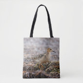 Profil eines Buff-Breasted Sandpipers am Strand Tasche (Vorderseite)