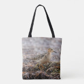 Profil eines Buff-Breasted Sandpipers am Strand Tasche (Rückseite)