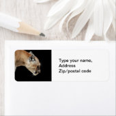 Profil eines Cougar (Insitu)