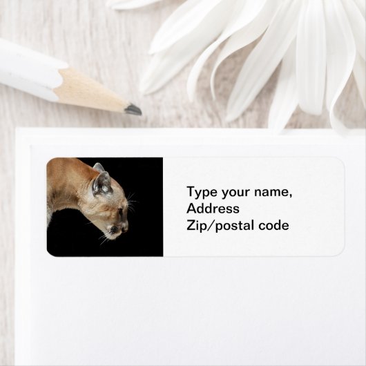 Profil eines Cougar (Insitu)