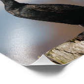 Profil eines Doppelkreuzes Kormorans Fotodruck (Ecke)