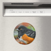 Profil eines Gepunkteten Zahnrads Magnet (In Situ (Geschirrspüler))