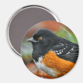 Profil eines Gepunkteten Zahnrads Magnet (Vorderseite/Rückseite)