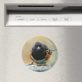 Profil eines Gepunkteten Zahnrads Magnet (In Situ (Geschirrspüler))