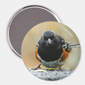 Profil eines Gepunkteten Zahnrads Magnet (Vorderseite/Rückseite)