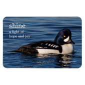 Profil eines Goldeneye Magnet (Horizontal)