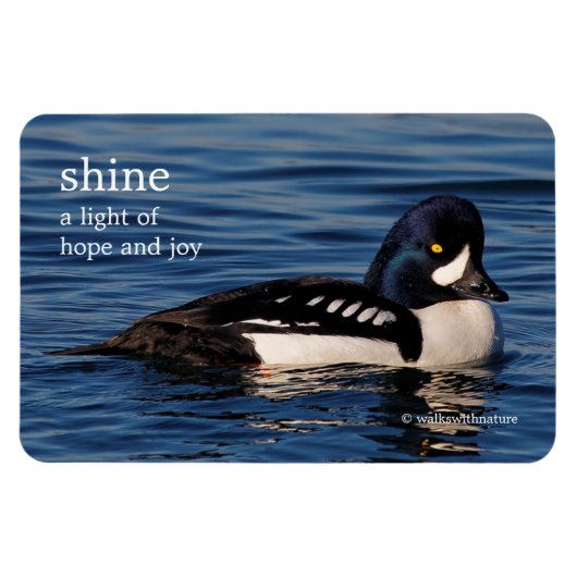 Profil eines Goldeneye Magnet (Horizontal)