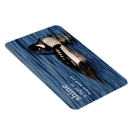 Profil eines Goldeneye Magnet (Rechte Seite)