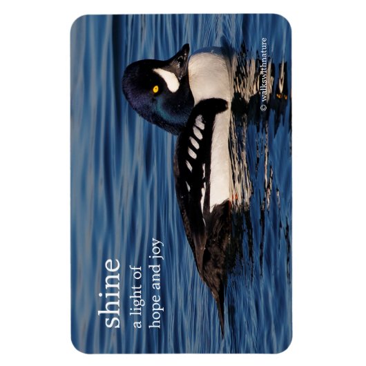 Profil eines Goldeneye Magnet (Vertikal)