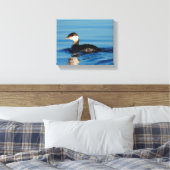 Profil eines Horned Grebe Leinwanddruck (Insitu (Schlafzimmer))