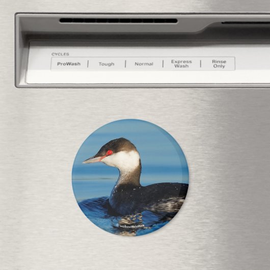 Profil eines Horned Grebe Magnet (In Situ (Geschirrspüler))
