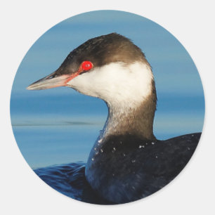 Profil eines Horned Grebe Runder Aufkleber