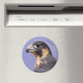 Profil eines juvenilen Peregrine-Falken Magnet (In Situ (Geschirrspüler))