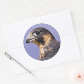 Profil eines juvenilen Peregrine-Falken Runder Aufkleber (Umschlag)