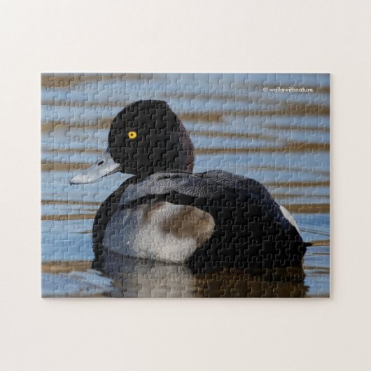 Profil eines kleineren Scaups Puzzle (Horizontal)