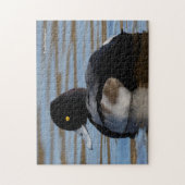 Profil eines kleineren Scaups Puzzle (Vertikal)