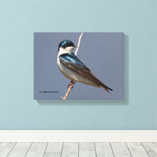 Profil eines männlichen Baumes Schlucken in der So Leinwanddruck (Insitu (Holzboden))