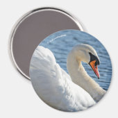 Profil eines Mute Swans Magnet (Vorderseite/Rückseite)