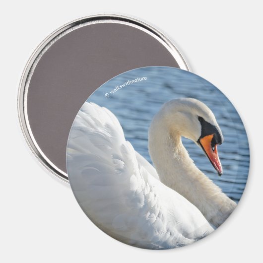 Profil eines Mute Swans Magnet (Vorderseite/Rückseite)