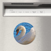 Profil eines Mute Swans Magnet (In Situ (Geschirrspüler))