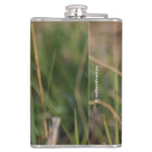 Profil eines nördlichen Harriers Flachmann (Rückseite)