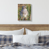 Profil eines nördlichen Harriers Leinwanddruck (Insitu (Schlafzimmer))