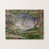 Profil eines nördlichen Harriers Puzzle (Horizontal)