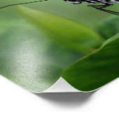 Profil eines Papierkites Fotodruck (Ecke)