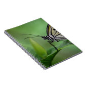 Profil eines Papierkitts Notizblock (Rechte Seite)